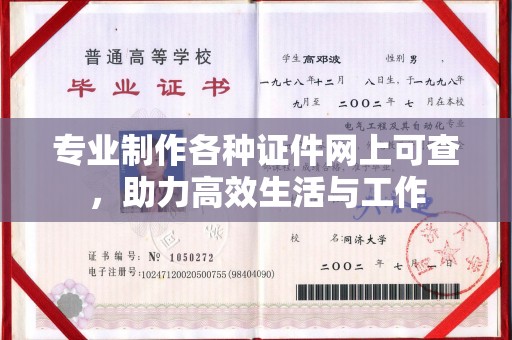灵璧专业制作各种证件网上可查，助力高效生活与工作